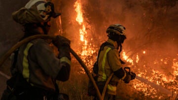 abores de extinción del incendio forestal en As Neves