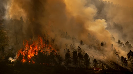 Vista del incendio que se registra en los alrededores de Maceda (Ourense) el domingo 10 de agosto Vista del incendio que se registra en los alrededores de Maceda (Ourense) el domingo 10 de agosto