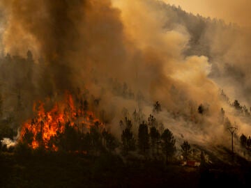 Vista del incendio que se registra en los alrededores de Maceda (Ourense) el domingo 10 de agosto