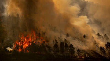 Vista del incendio que se registra en los alrededores de Maceda (Ourense) el domingo 10 de agosto
