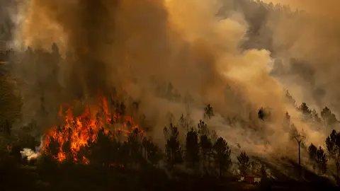 Vista del incendio que se registra en los alrededores de Maceda (Ourense) el domingo 10 de agosto Vista del incendio que se registra en los alrededores de Maceda (Ourense) el domingo 10 de agosto