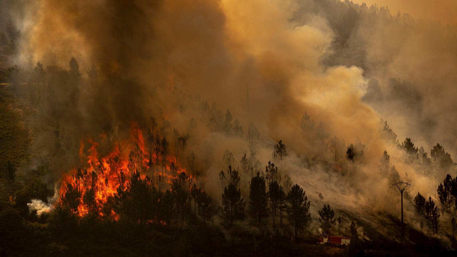 Galicia lucha contra tres grandes incendios y detienen a un pirómano en Ourense: 