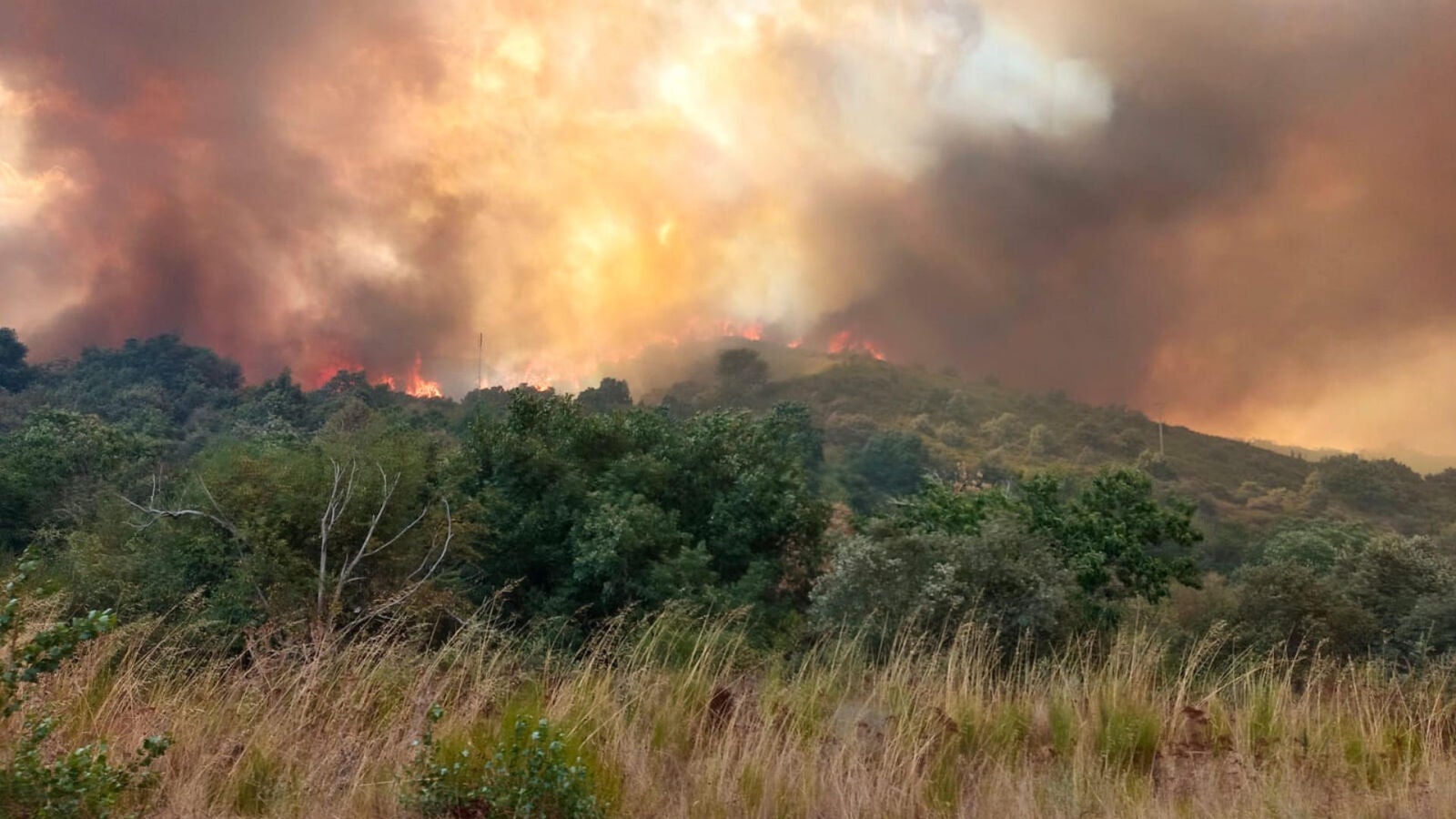 El incendio de Las Médulas, en León, desata la desesperación entre sus vecinos: 