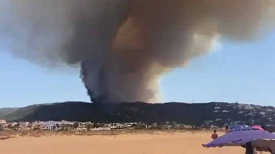 Nuevo incendio forestal en Tarifa cerca de la playa de Bolonia Nuevo incendio forestal en Tarifa cerca de la playa de Bolonia