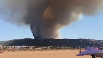 Nuevo incendio forestal en Tarifa cerca de la playa de Bolonia