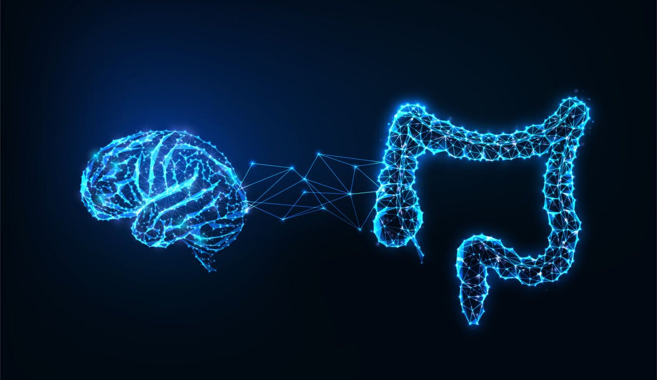 Conexi&oacute;n cerebro e intestinos