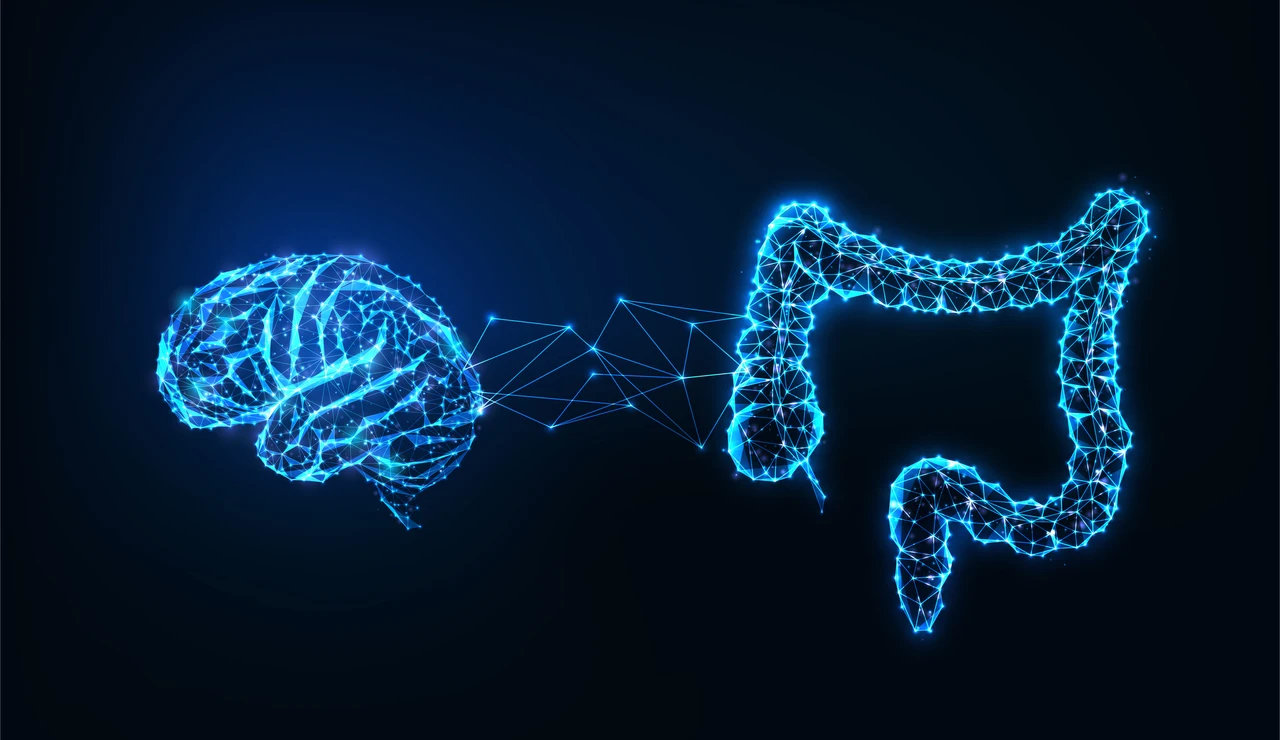 Conexión cerebro e intestinos
