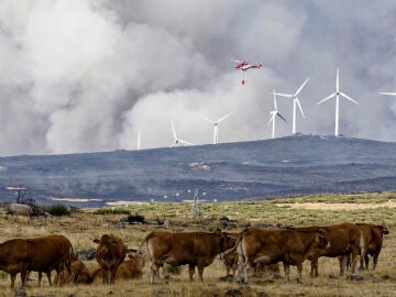 Incendio en Ávila
