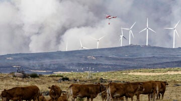 Incendio en Ávila