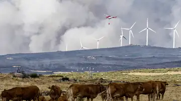 Incendio en Ávila Incendio en Ávila