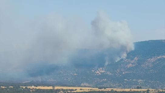 Incendio en Jarilla. Incendio en Jarilla.