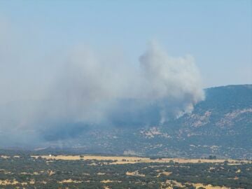 Incendio en Jarilla. 