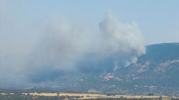 Incendio en Jarilla. 