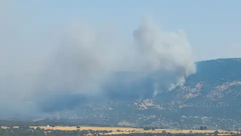 Incendio en Jarilla. Incendio en Jarilla.