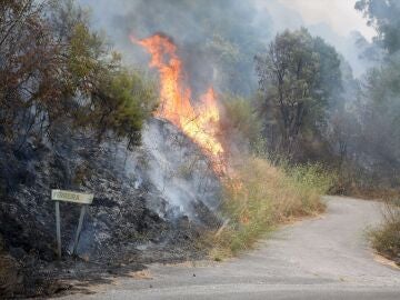 Incendio en Lugo