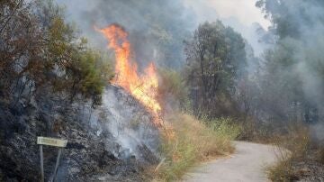Incendio en Lugo