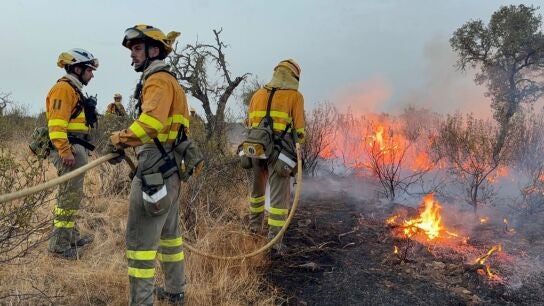 Una veintena de bomberos forestales de la Regi&oacute;n parte hacia Extremadura para seguir la lucha contra incendios