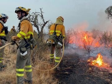 Una veintena de bomberos forestales de la Región parte hacia Extremadura para seguir la lucha contra incendios