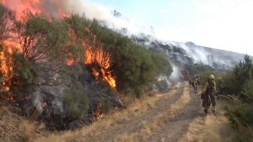 Incendio Jarilla