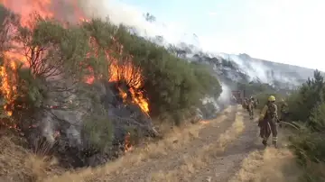 Incendio Jarilla Incendio Jarilla