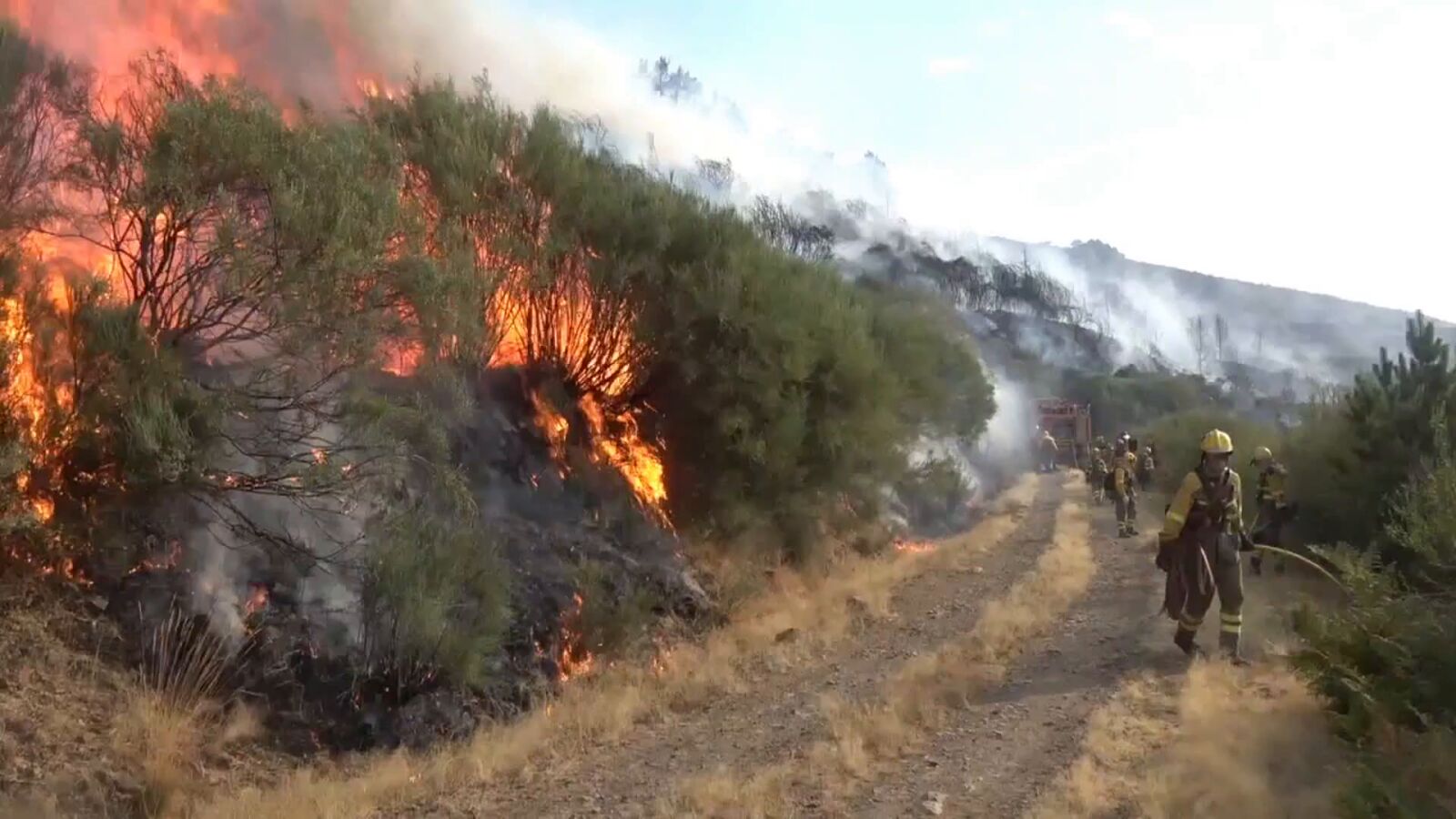 El fuego de Jarilla ya alcanza Salamanca: 