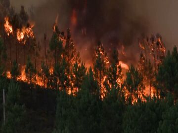 Incendio Portugal