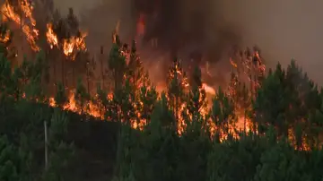 Incendio Portugal Incendio Portugal