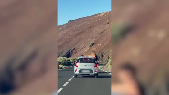 Ocho turistas denunciados por conducción temeraria y por no utilizar los elementos de seguridad en el Teide Ocho turistas denunciados por conducción temeraria y por no utilizar los elementos de seguridad en el Teide