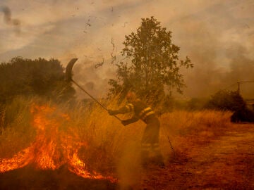 incendio de Oímbra