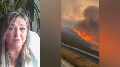  Marta Corella, vicedecana del Colegio de Ingenieros Forestales: 