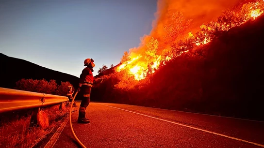 Imagen de un bombero de la Diputación de Alicante trabajando en el incendio de León Imagen de un bombero de la Diputación de Alicante trabajando en el incendio de León