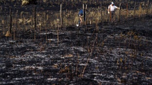 Zona quemada en las proximidades de Urraca-Miguel, barrio anexionado a 13 kil&oacute;metros de &Aacute;vila capital