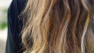 Pelo seco