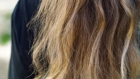 Pelo seco Pelo seco