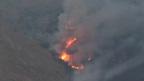 Incendio de Jarilla Incendio de Jarilla