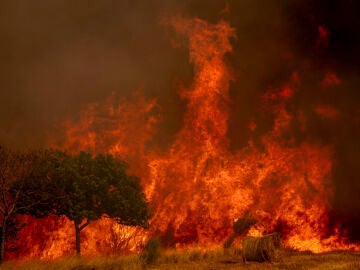 Incendio Ourense