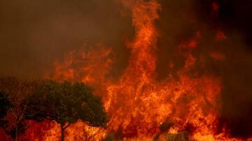 Incendio Ourense