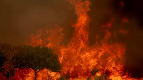 Incendio Ourense Incendio Ourense