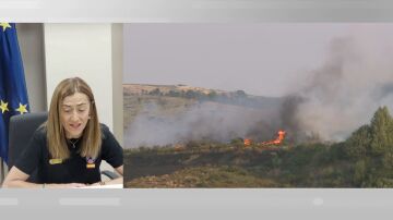 Directora de Protección Civil