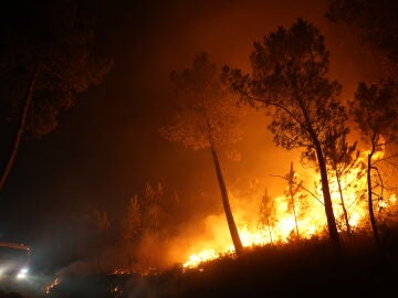 Las hectáreas arrasadas en agosto por incendios en Galicia superan las 158.000, según Copernicus