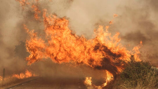 El fuego cruza una carretera por el incendio forestal en las proximidades de Cip&eacute;rez (Salamanca)
