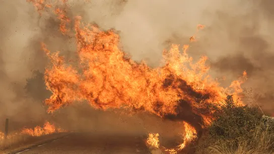 El fuego cruza una carretera por el incendio forestal en las proximidades de Cipérez (Salamanca) El fuego cruza una carretera por el incendio forestal en las proximidades de Cipérez (Salamanca)