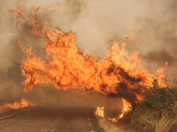 El fuego cruza una carretera por el incendio forestal en las proximidades de Cipérez (Salamanca)