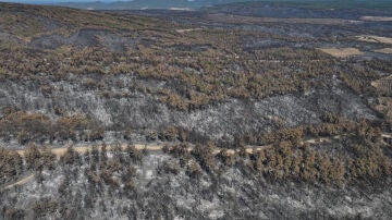 Imagen de los incendios que asolan España.
