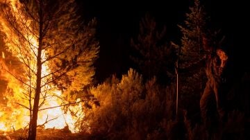 Un bombero forestal trata de extinguir el fuego en Argayo, León.