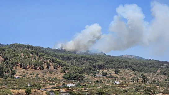 Conato de incendio forestal en El Hierro Conato de incendio forestal en El Hierro