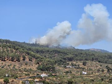 Conato de incendio forestal en El Hierro