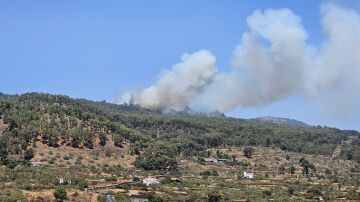 Conato de incendio forestal en El Hierro