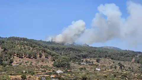 Conato de incendio forestal en El Hierro Conato de incendio forestal en El Hierro