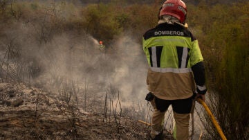 Un bombero forestal